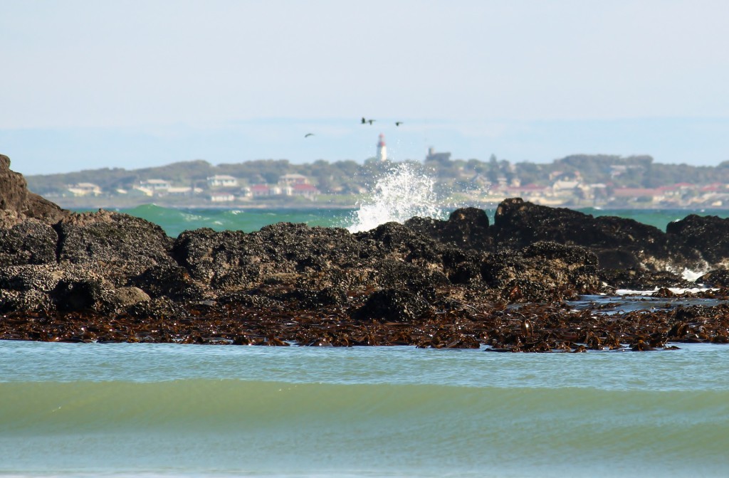 Robben island