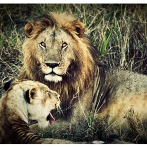 The Big Five